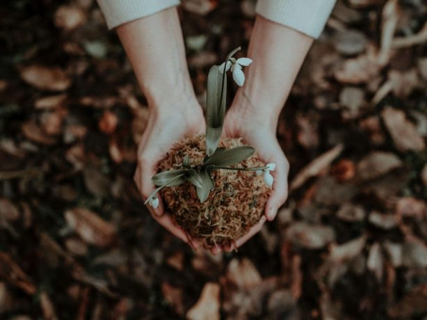 person-holding-white-flower-in-her-hands-3761142 (1)